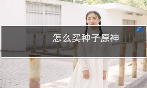 怎么买种子原神