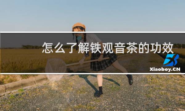 怎么了解铁观音茶的功效