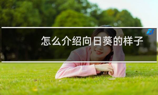 怎么介绍向日葵的样子