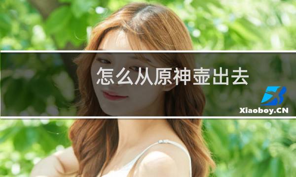 怎么从原神壶出去