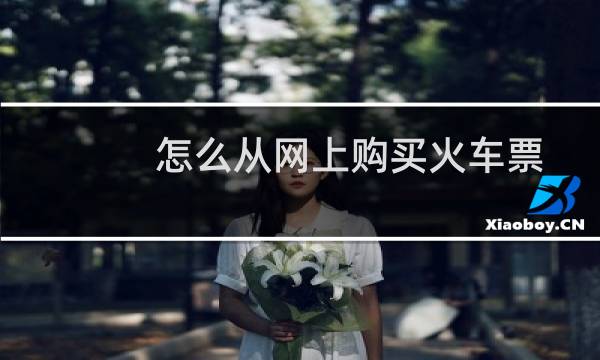 怎么从网上购买火车票
