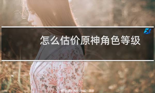 怎么估价原神角色等级