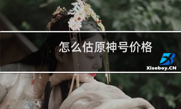 怎么估原神号价格