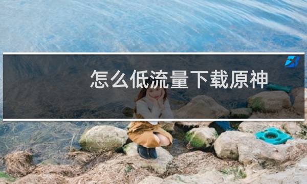 怎么低流量下载原神