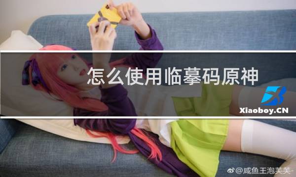 怎么使用临摹码原神