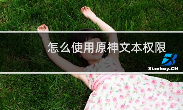 怎么使用原神文本权限