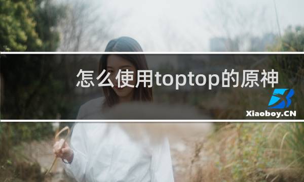 怎么使用toptop的原神
