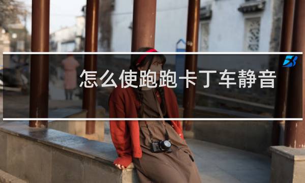 怎么使跑跑卡丁车静音