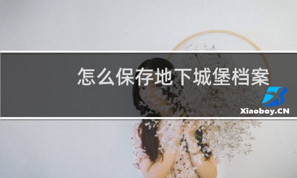 怎么保存地下城堡档案