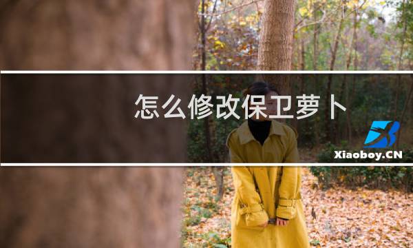 怎么修改保卫萝卜