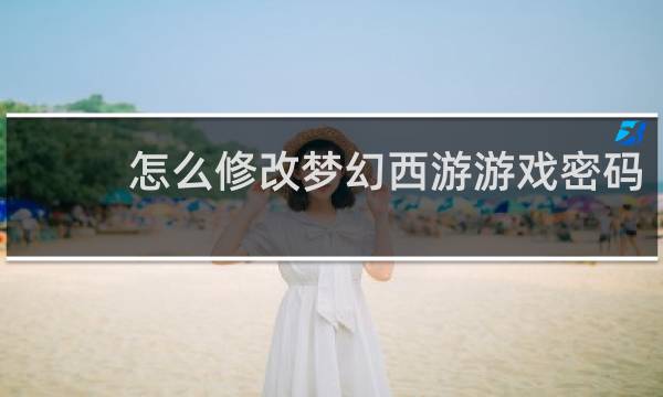怎么修改梦幻西游游戏密码