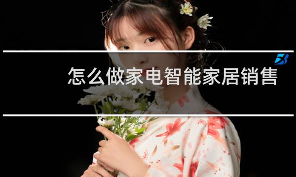 怎么做家电智能家居销售