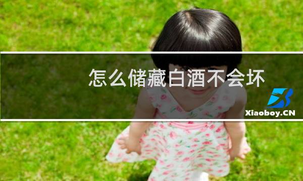 怎么储藏白酒不会坏