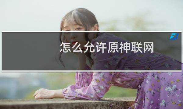 怎么允许原神联网
