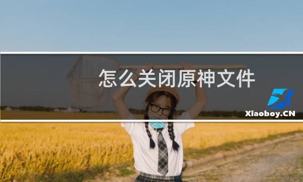 怎么关闭原神文件