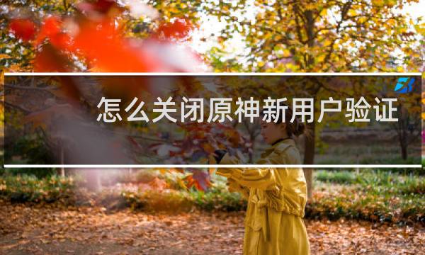 怎么关闭原神新用户验证