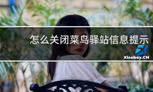 怎么关闭菜鸟驿站信息提示