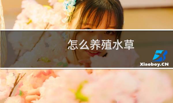 怎么养殖水草