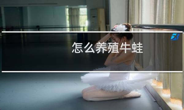 怎么养殖牛蛙