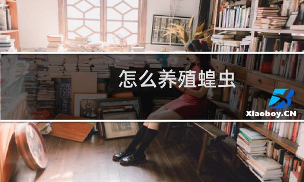 怎么养殖蝗虫