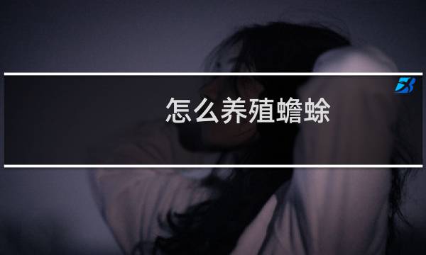 怎么养殖蟾蜍