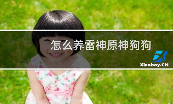 怎么养雷神原神狗狗