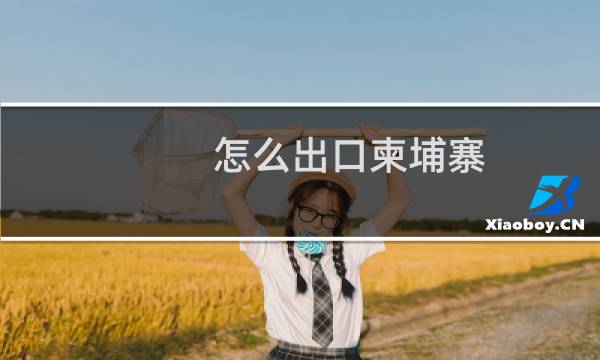 怎么出口柬埔寨