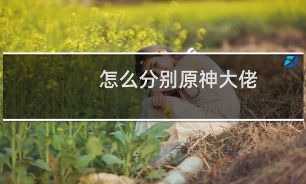 怎么分别原神大佬