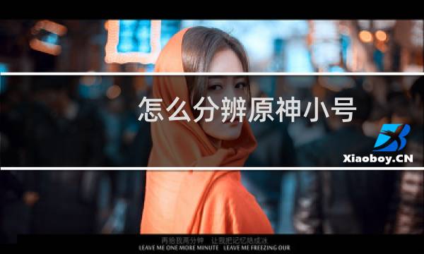 怎么分辨原神小号