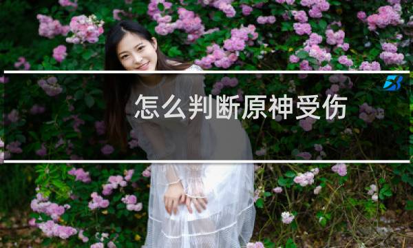 怎么判断原神受伤