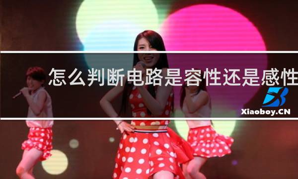 怎么判断电路是容性还是感性