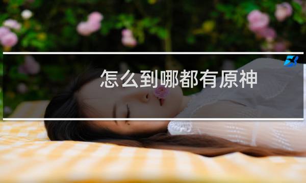 怎么到哪都有原神