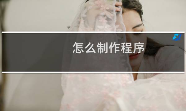 怎么制作程序