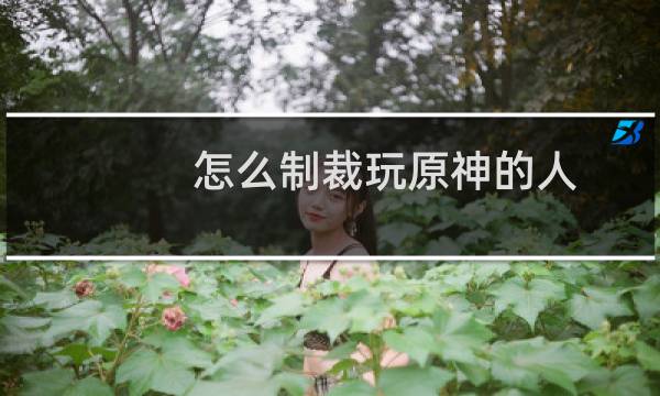 怎么制裁玩原神的人