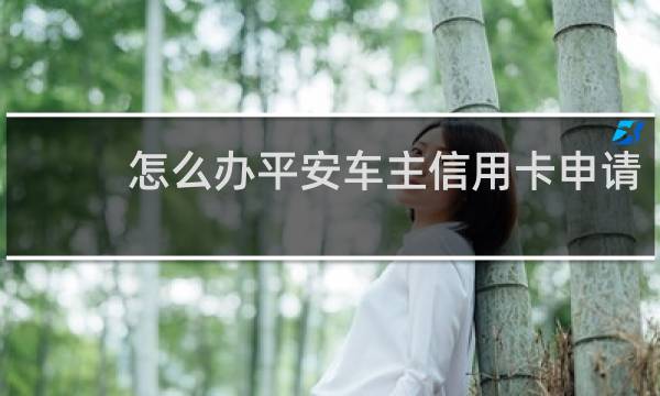怎么办平安车主信用卡申请
