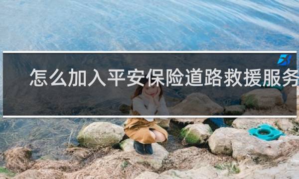 怎么加入平安保险道路救援服务商