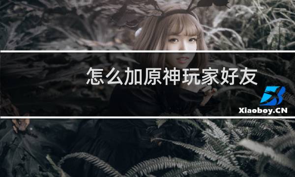 怎么加原神玩家好友