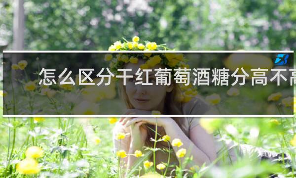 怎么区分干红葡萄酒糖分高不高