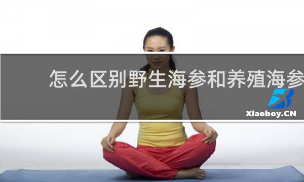 怎么区别野生海参和养殖海参