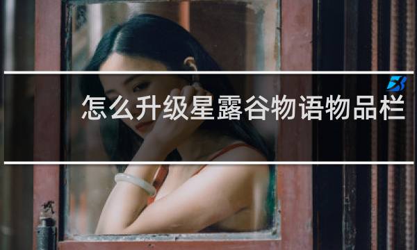 怎么升级星露谷物语物品栏