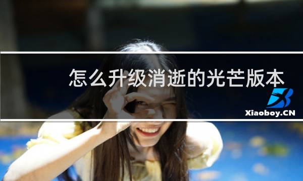 怎么升级消逝的光芒版本