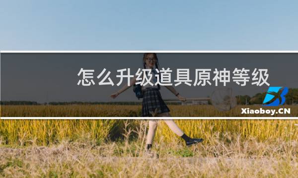 怎么升级道具原神等级