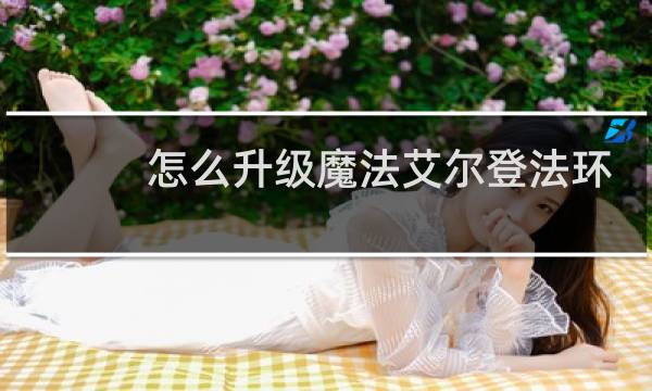怎么升级魔法艾尔登法环