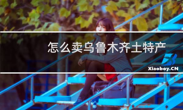 怎么卖乌鲁木齐土特产