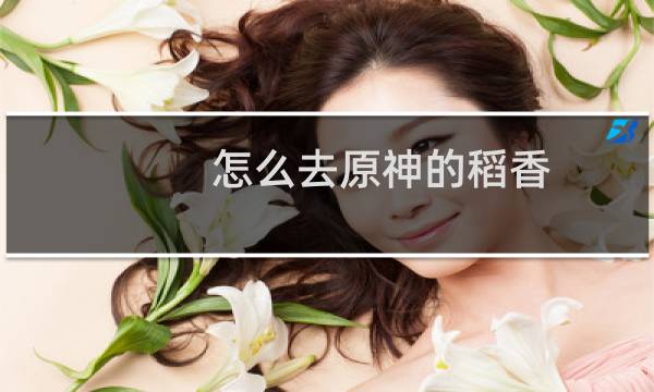 怎么去原神的稻香