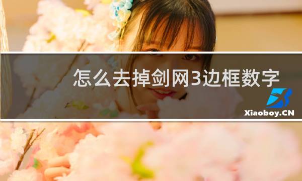 怎么去掉剑网3边框数字