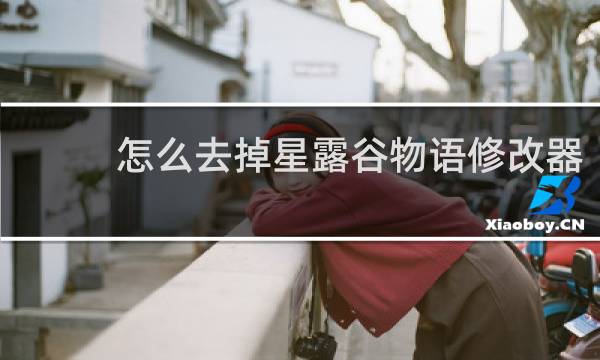 怎么去掉星露谷物语修改器