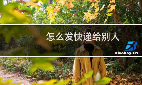怎么发快递给别人