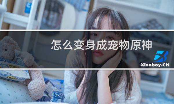 怎么变身成宠物原神