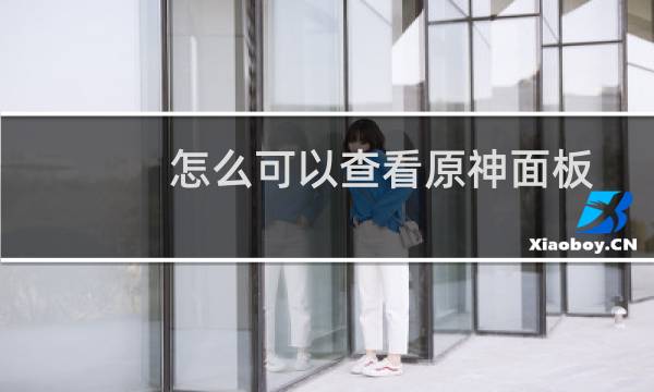 怎么可以查看原神面板